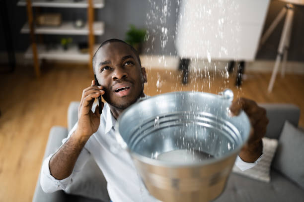 Best Mold removal after water damage  in Cedar Ridge, CA