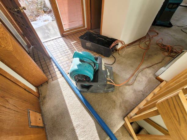 Best 24-hour water damage restoration  in Cedar Ridge, CA