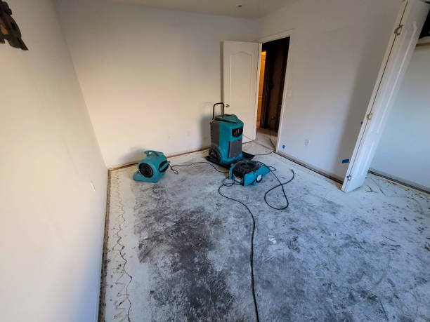  Cedar Ridge, CA Water damage restoration Pros