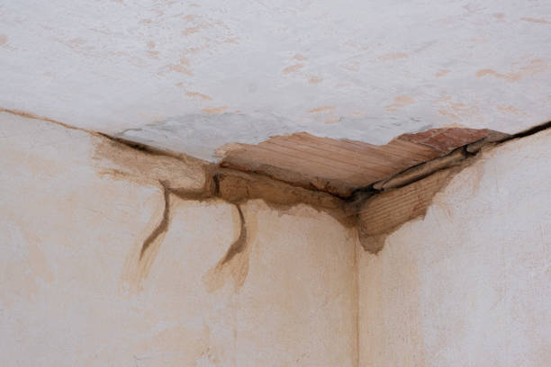 Best Fire Damage Restoration  in Cedar Ridge, CA