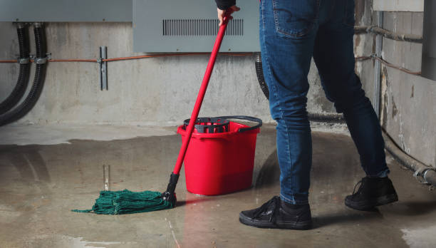 Best Flood damage cleanup  in Cedar Ridge, CA