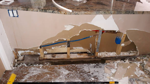 Best Water damage restoration company  in Cedar Ridge, CA