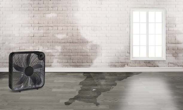 Best Emergency water damage restoration  in Cedar Ridge, CA