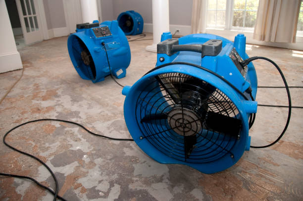 Best Water damage cleanup near me  in Cedar Ridge, CA