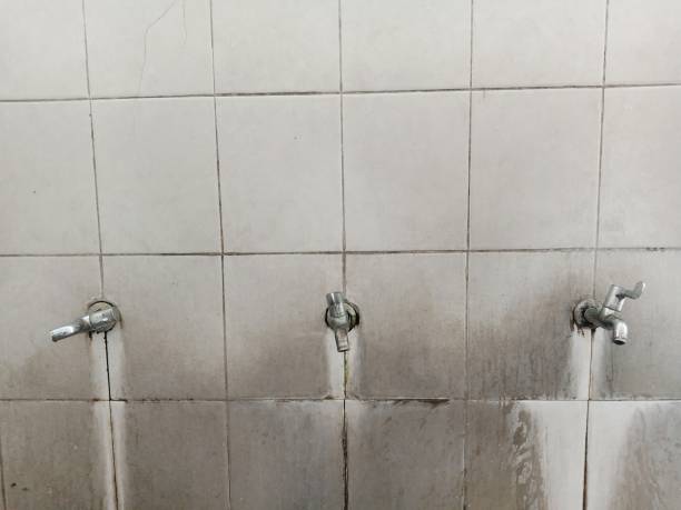 Best Water damage restoration process  in Cedar Ridge, CA