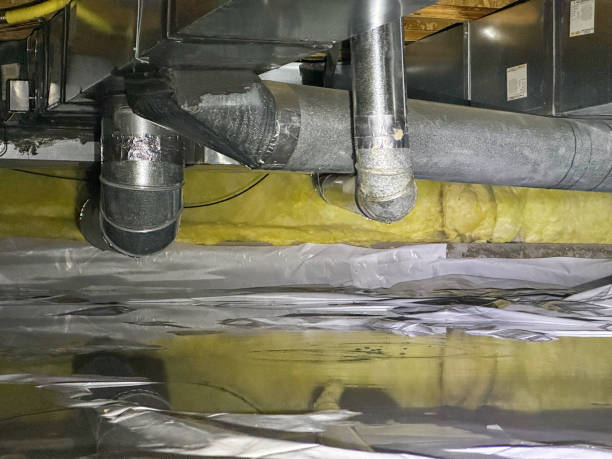 Best Professional water damage repair  in Cedar Ridge, CA